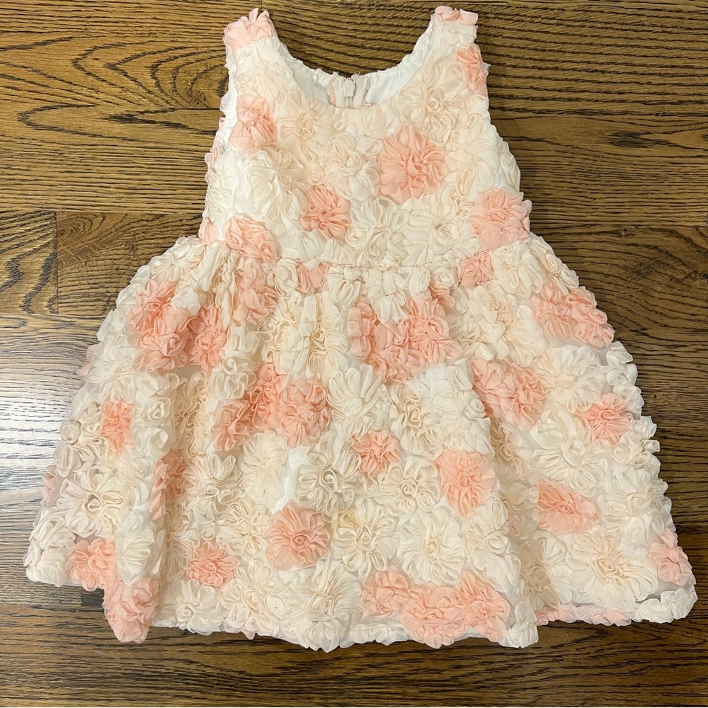 Floral Appliqué Toddler Flower Girl Occasion Dress